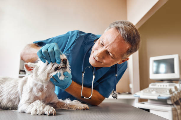 Best Emergency Tooth Extraction in Leonardo, NJ